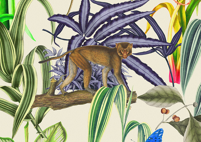 Barbados, Jungle - Twist&Fit Roman Blind - Image 7